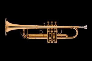 Schagerl-Aglaea-Bb-Trumpet-2