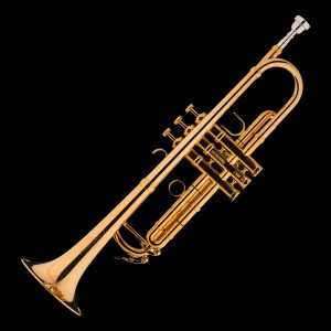 Schagerl-Meister-Aglaea-Bb-Trumpet